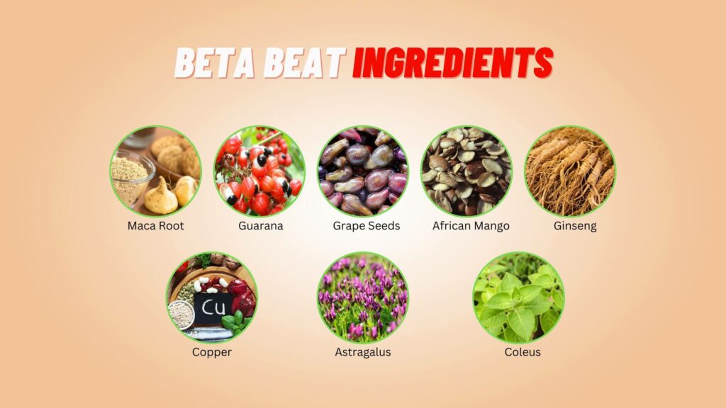 Beta Beat Ingredients