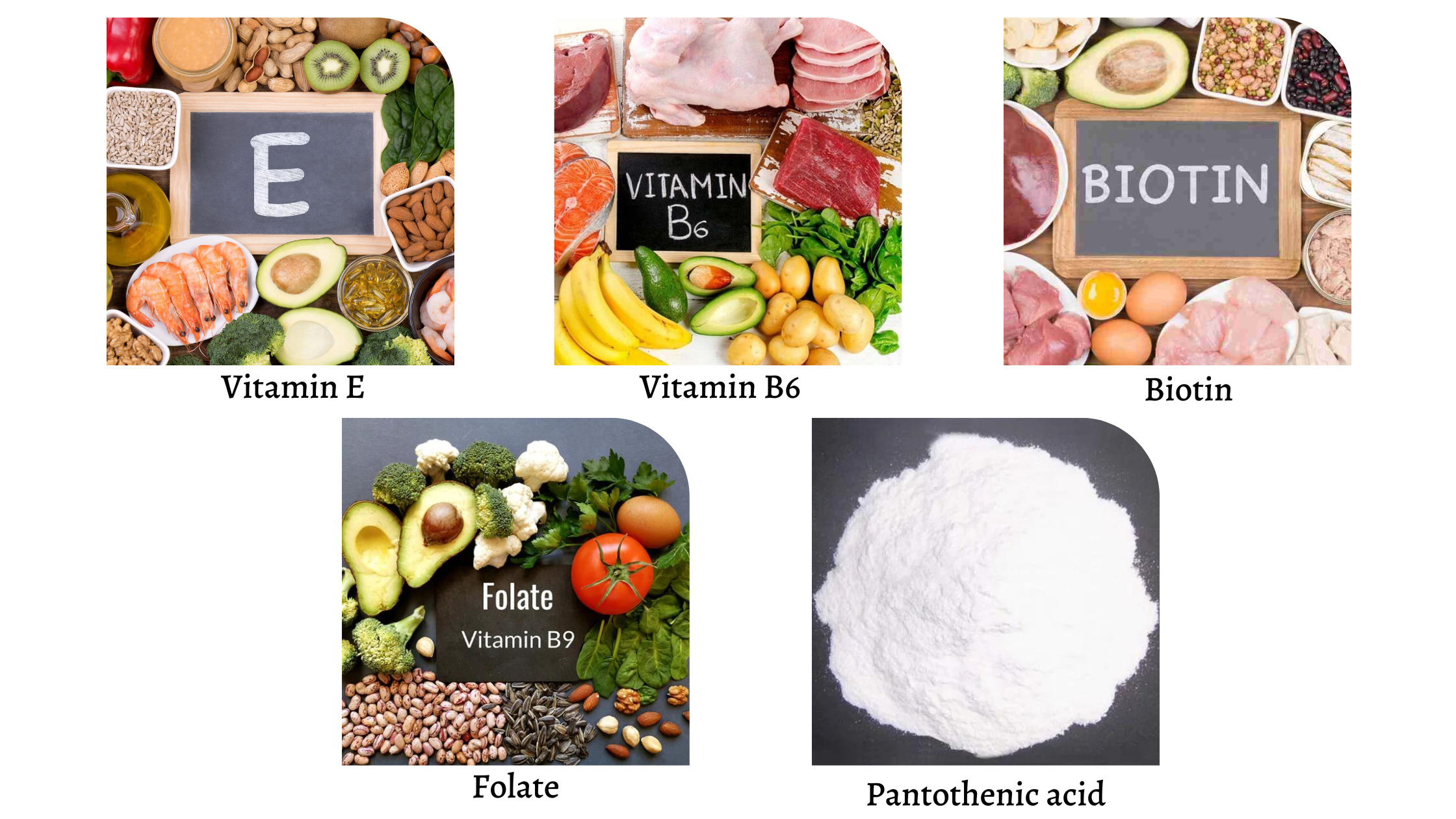 Folixine-Ingredients