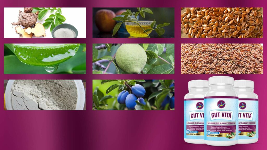 Gut Vita Ingredients