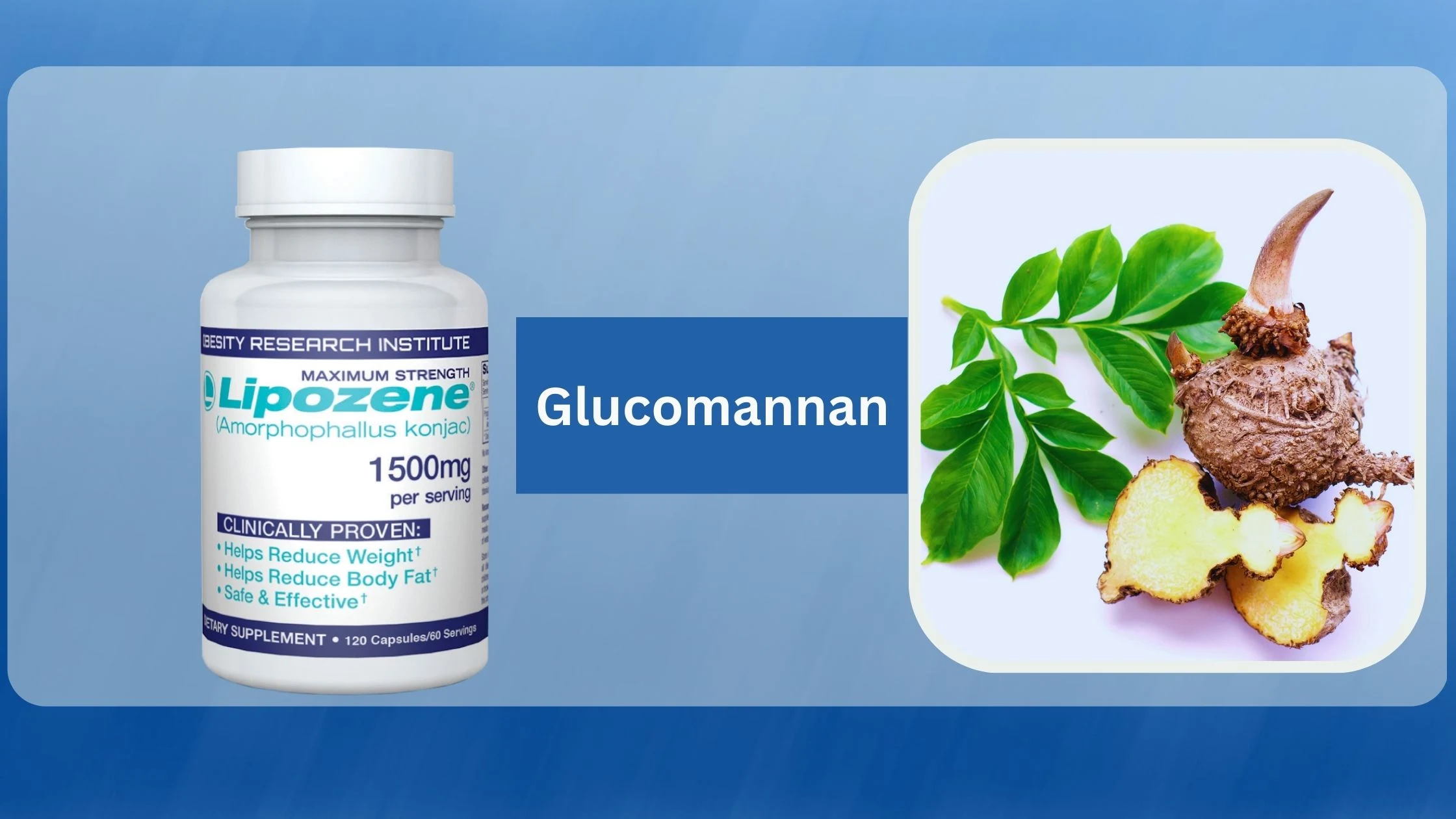 Lipozene ingredient