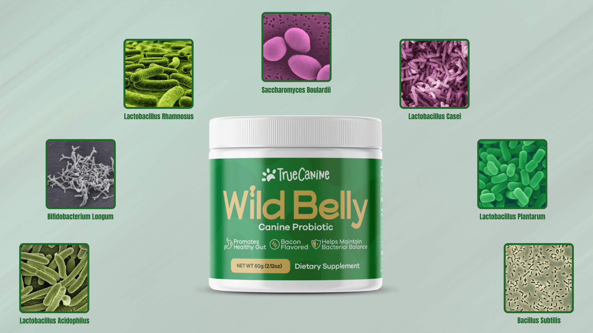 Wild-Belly-Dog-Probiotic-Ingredients
