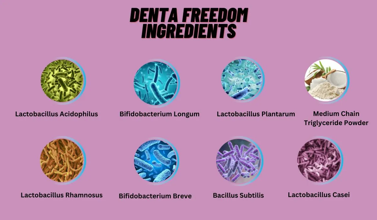 Denta Freedom Ingredients