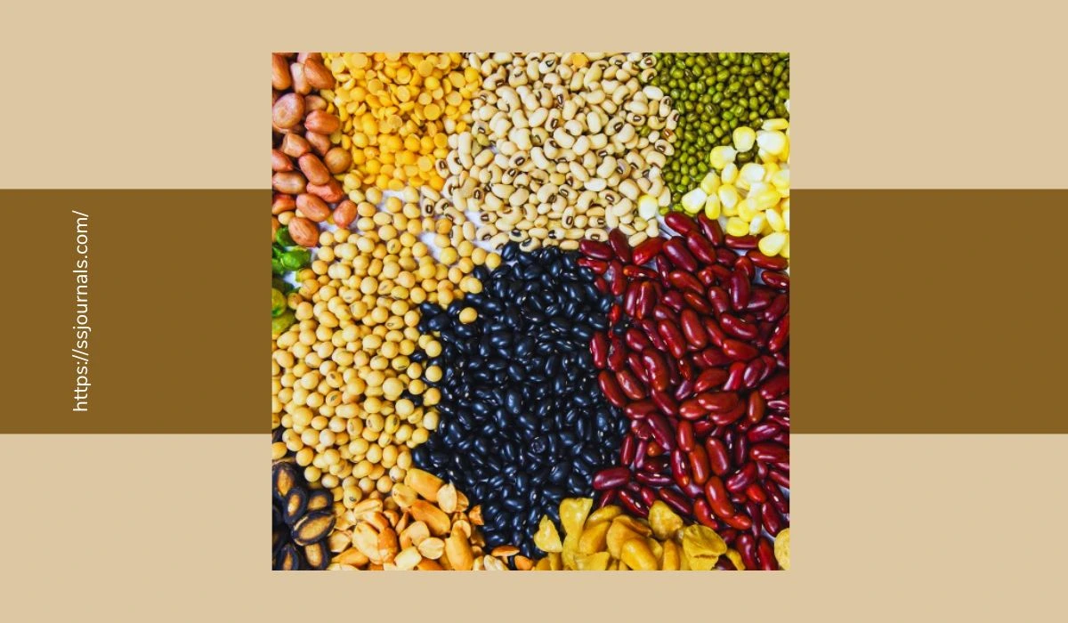 How Beans Contribute To Gas Discomfort Causes And Solutions