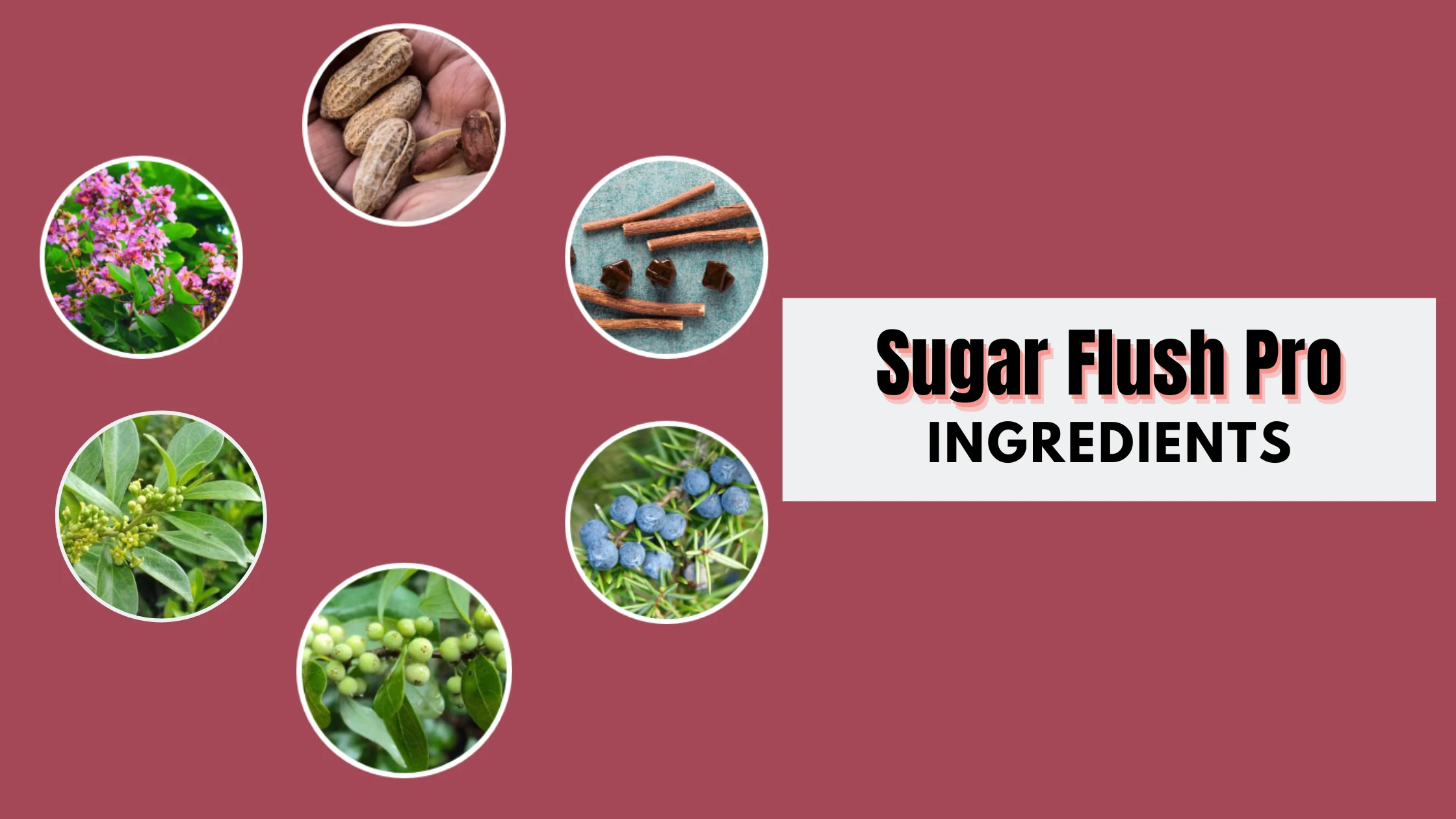 Sugar Flush Pro ingredients