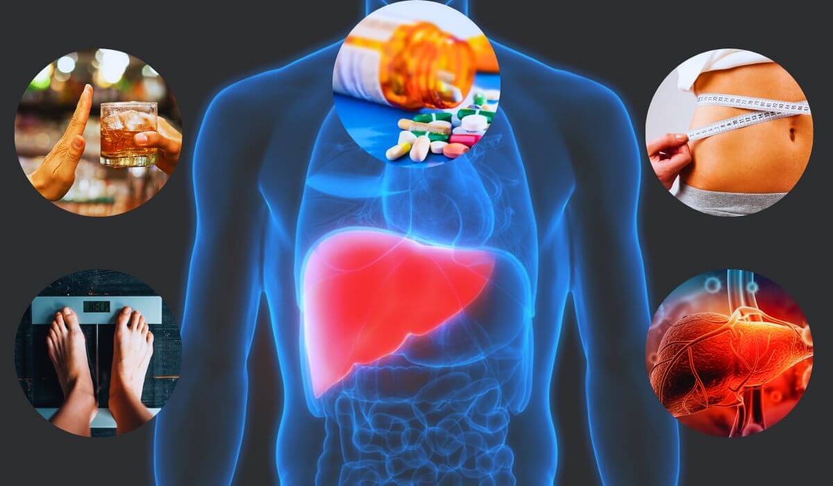 Tips For Maintaining A Healthy Liver