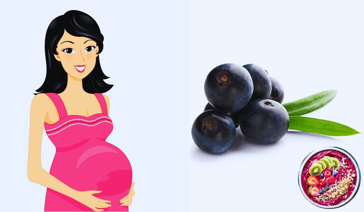 Usage Of Acai Berries During Pregnancy