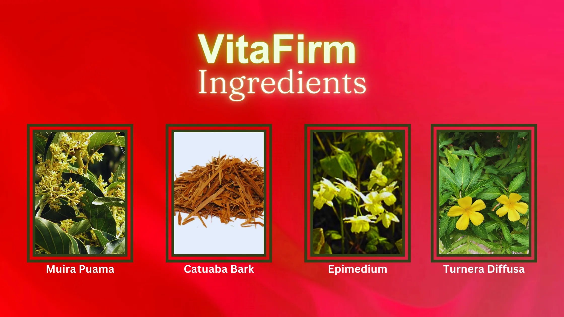 VitaFirm Ingredients