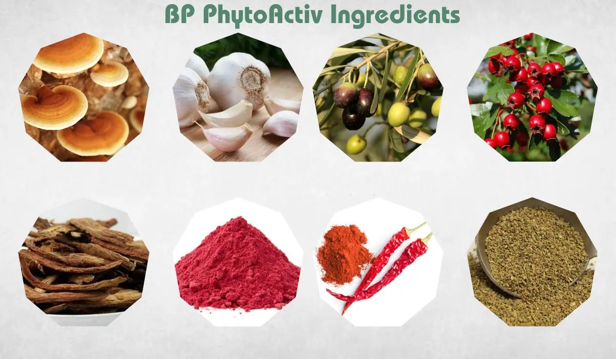  BP PhytoActiv Ingredients