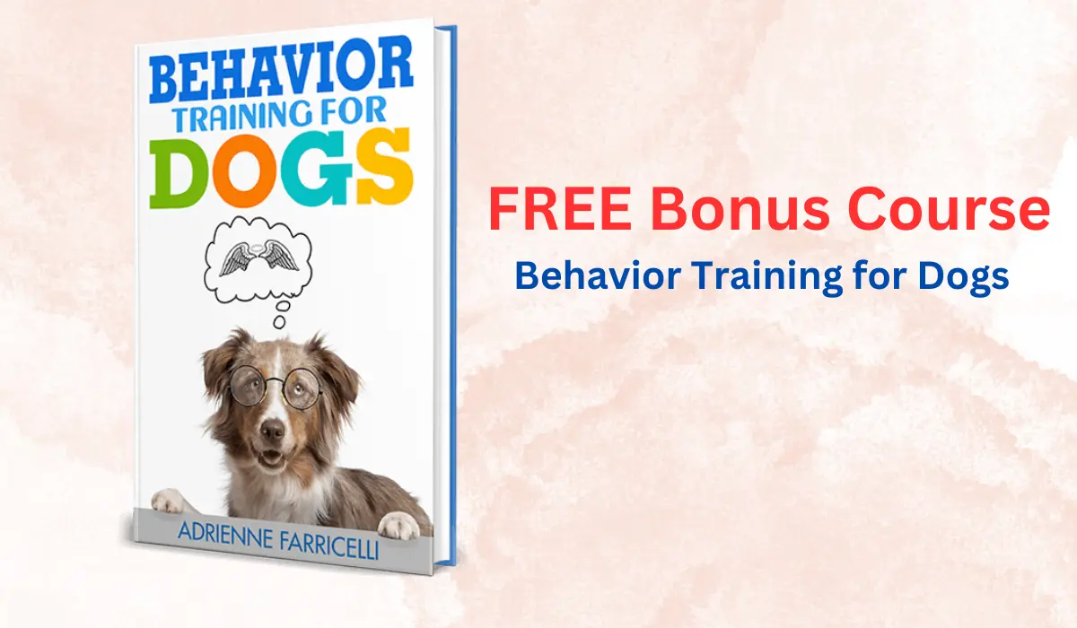 Brain Training For Dogs Bonuses