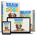 Brain Training For Dogs Guide