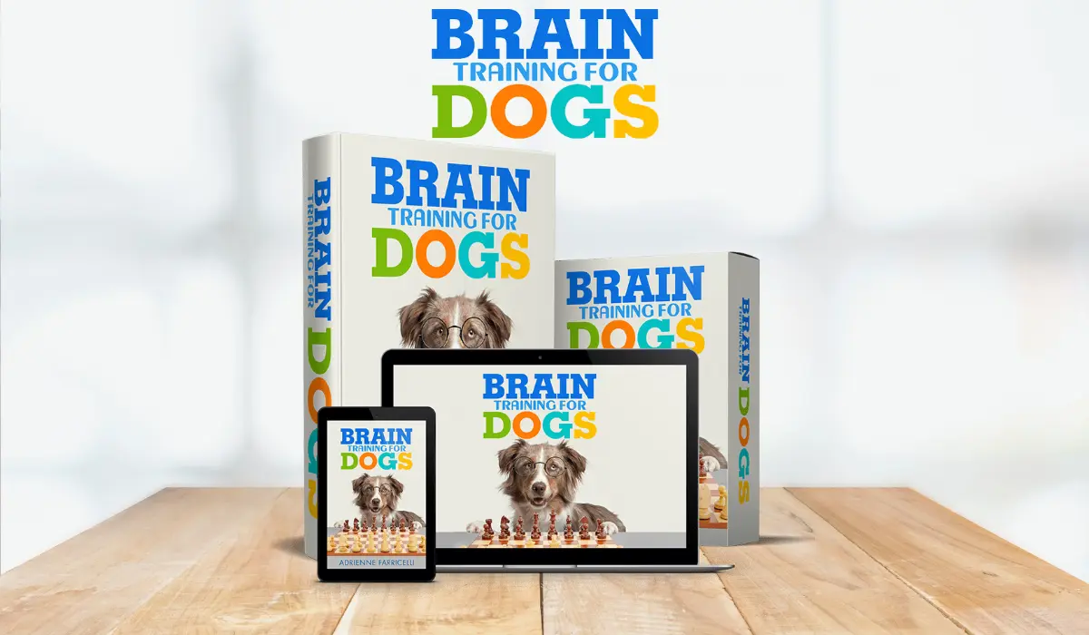 Brain Training For Dogs Reviews