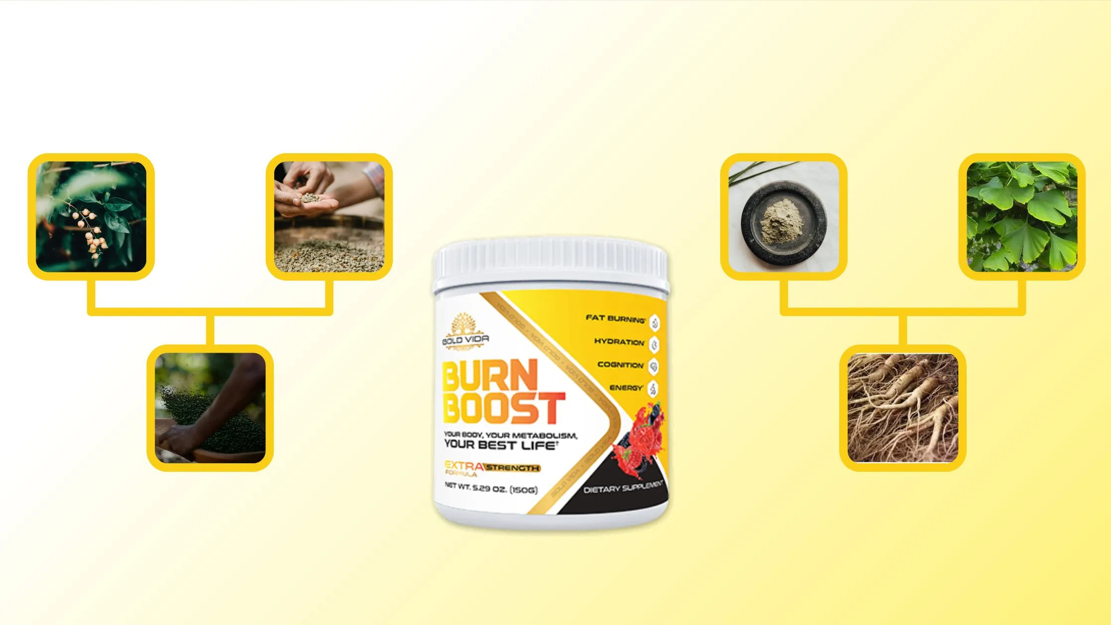 Burn Boost Ingredients