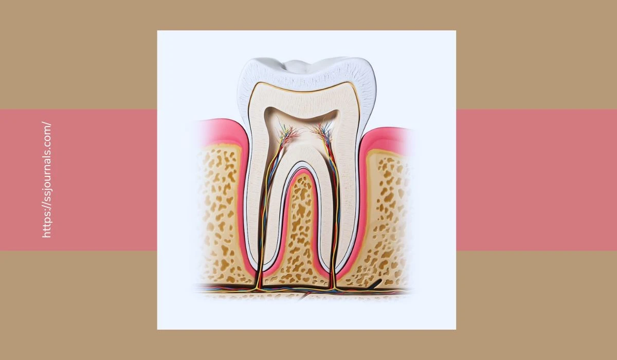 Do You Need a Root Canal 7 Telltale Symptoms You Shouldn't Ignore