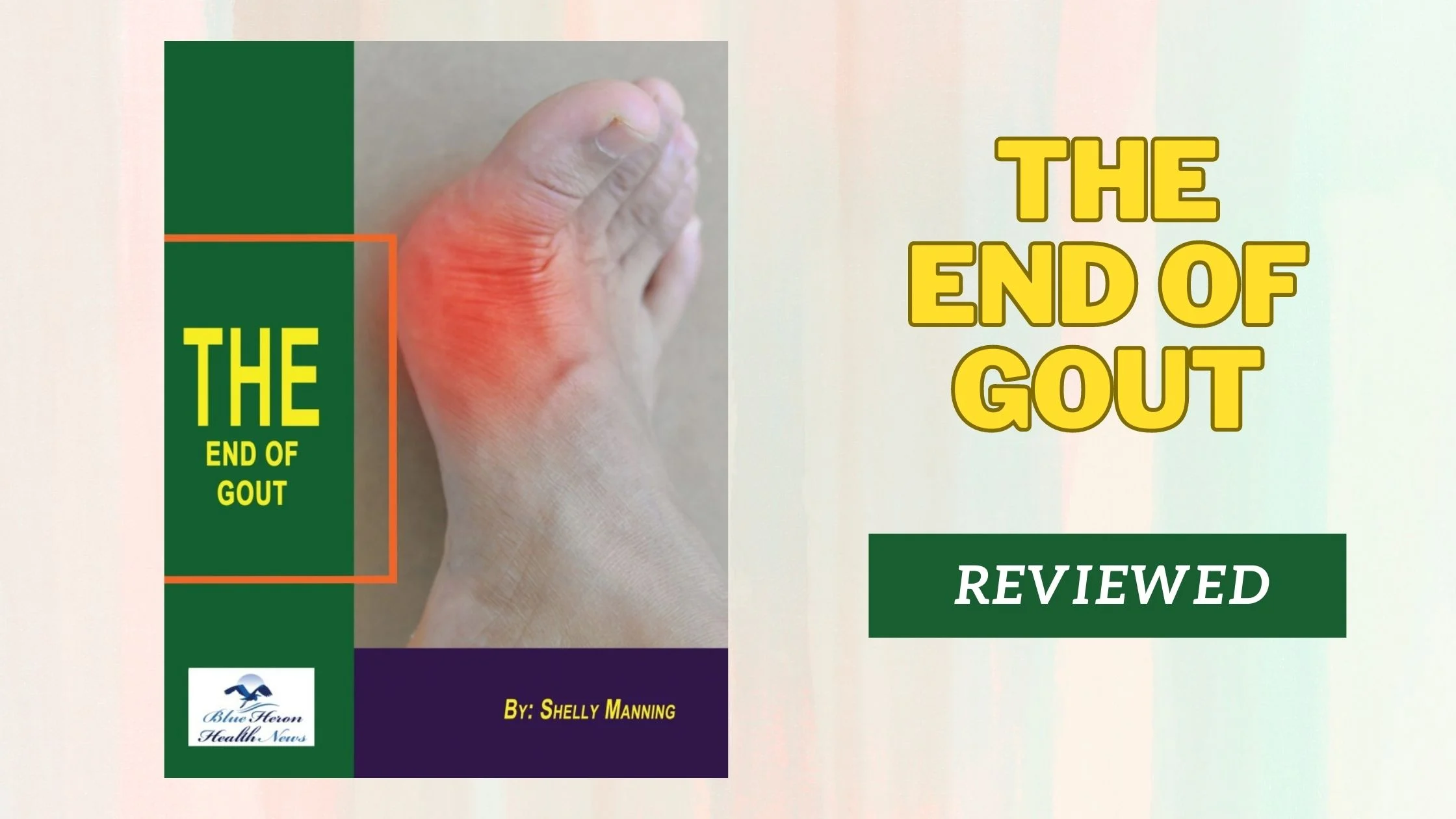 End Of Gout Reviews
