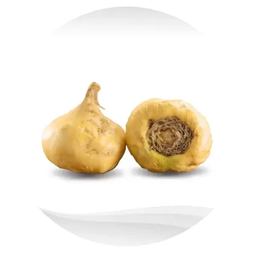 Erectonin ingredient Maca