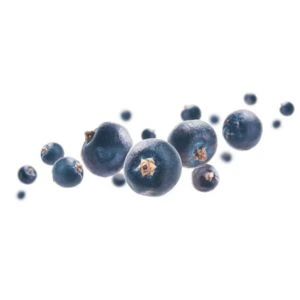 jupiter berries