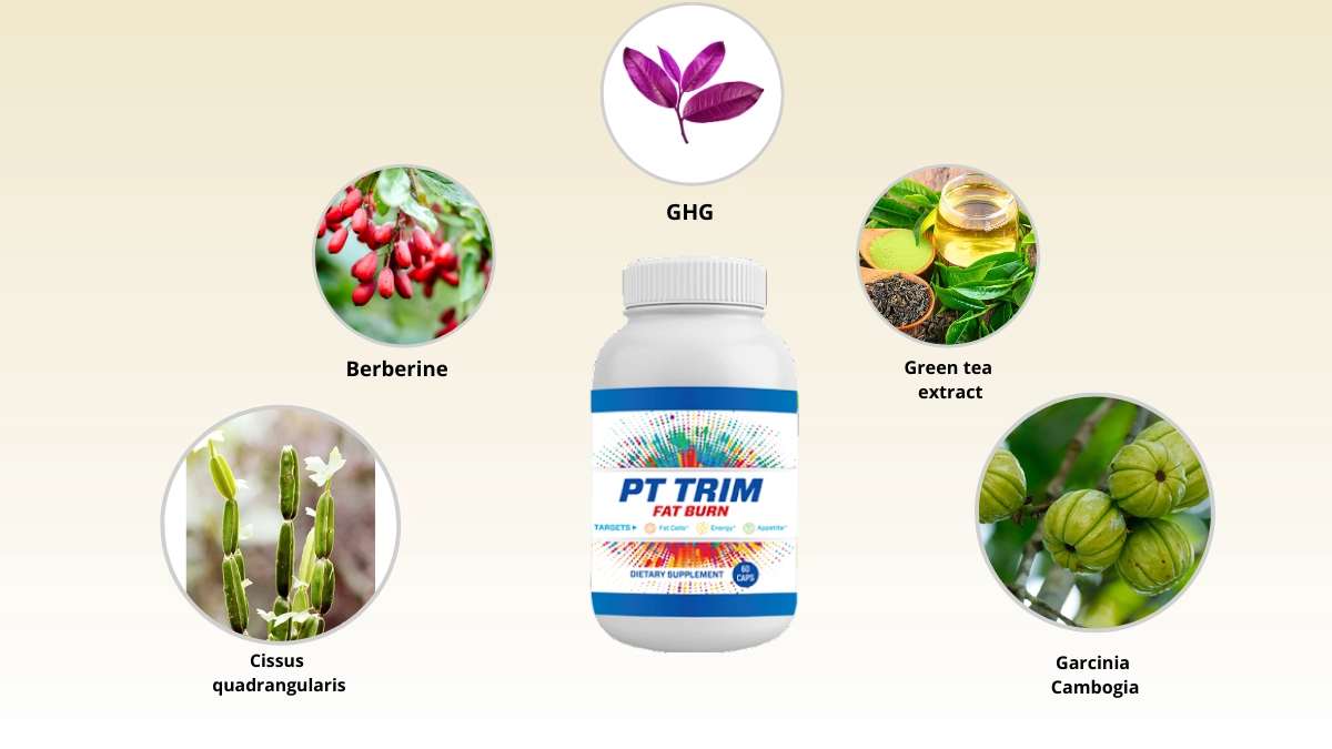 PT Trim Fat Burn Ingredients