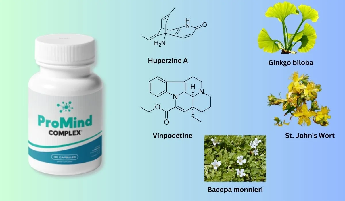 ProMind Complex Ingredients