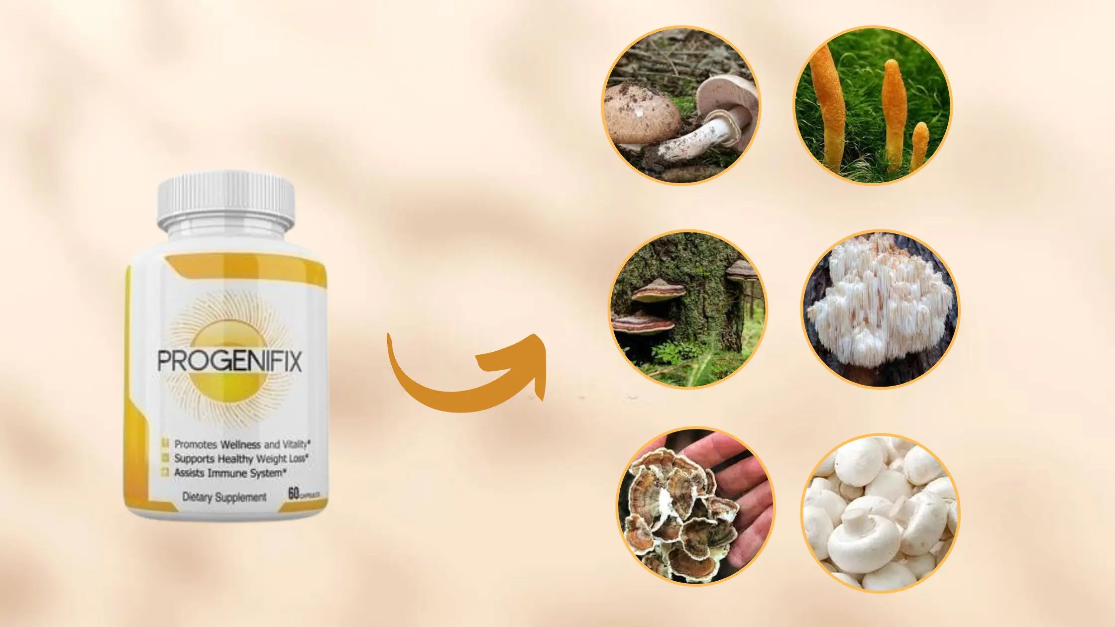 Progenifix Ingredients