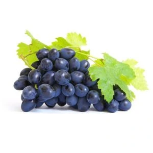 Resveratrol