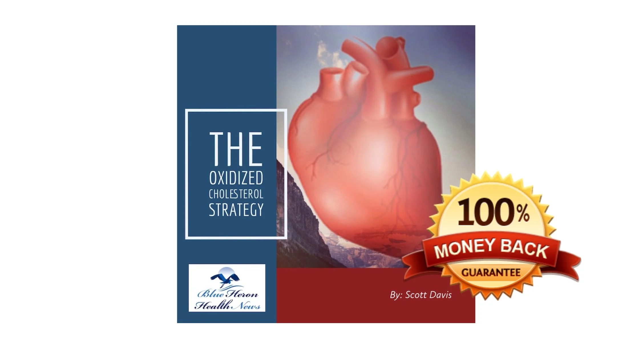 The Oxidized Cholesterol Strategy Money Back Guarantee