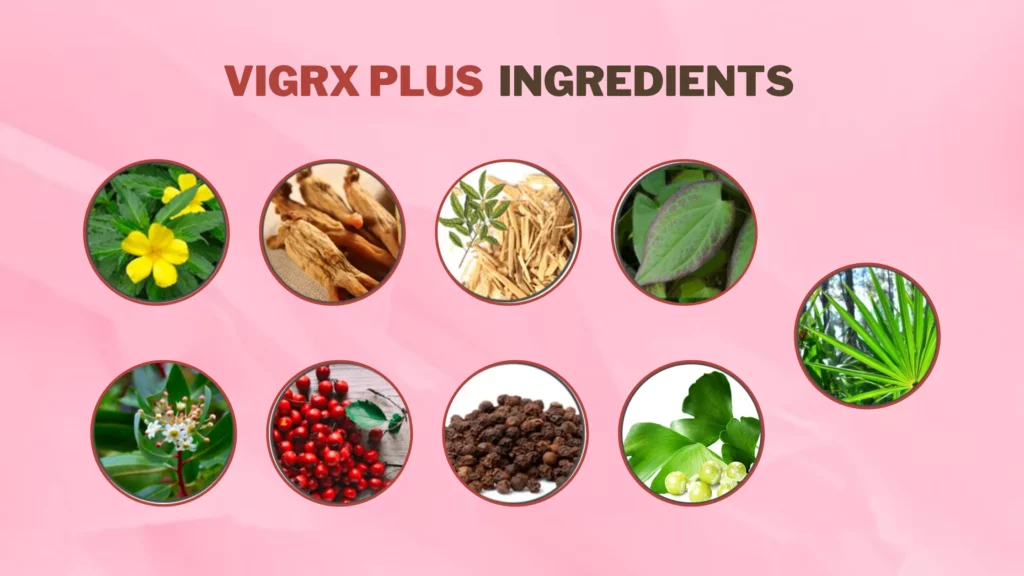 VigRX-Plus-Ingredients