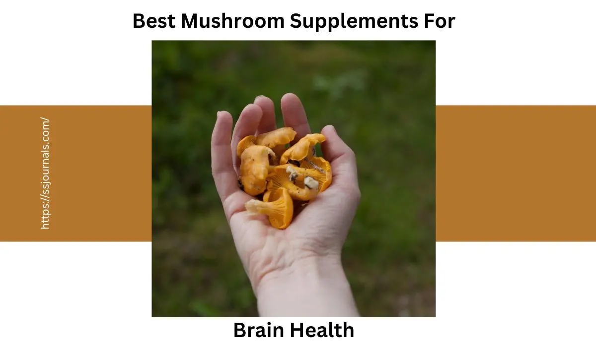3 Best Mushroom Supplements For Brain Health