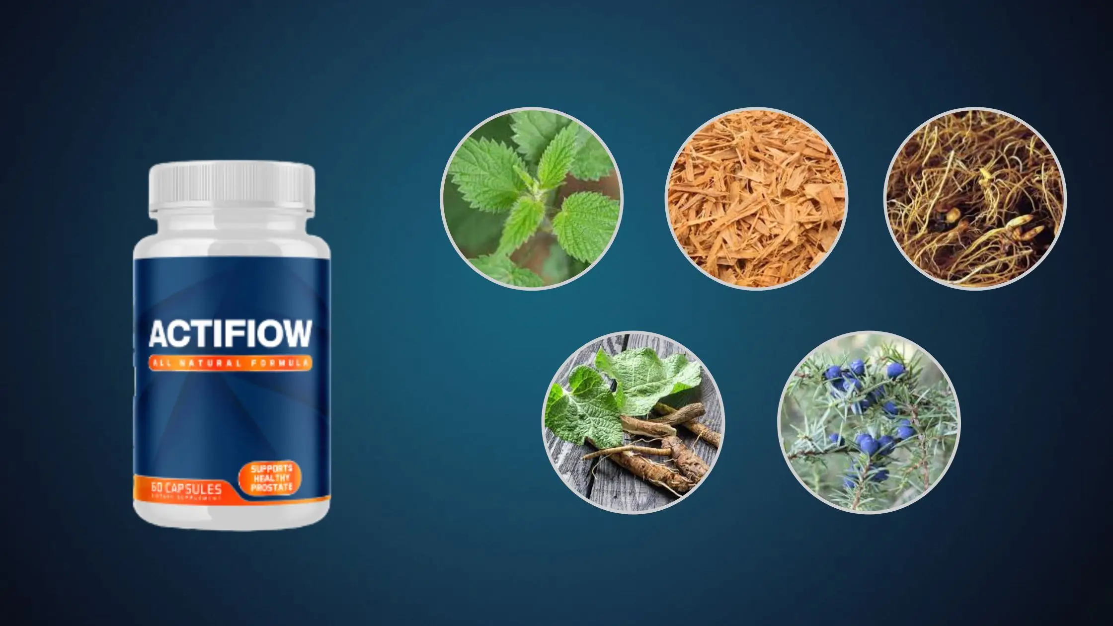 Actiflow Ingredients