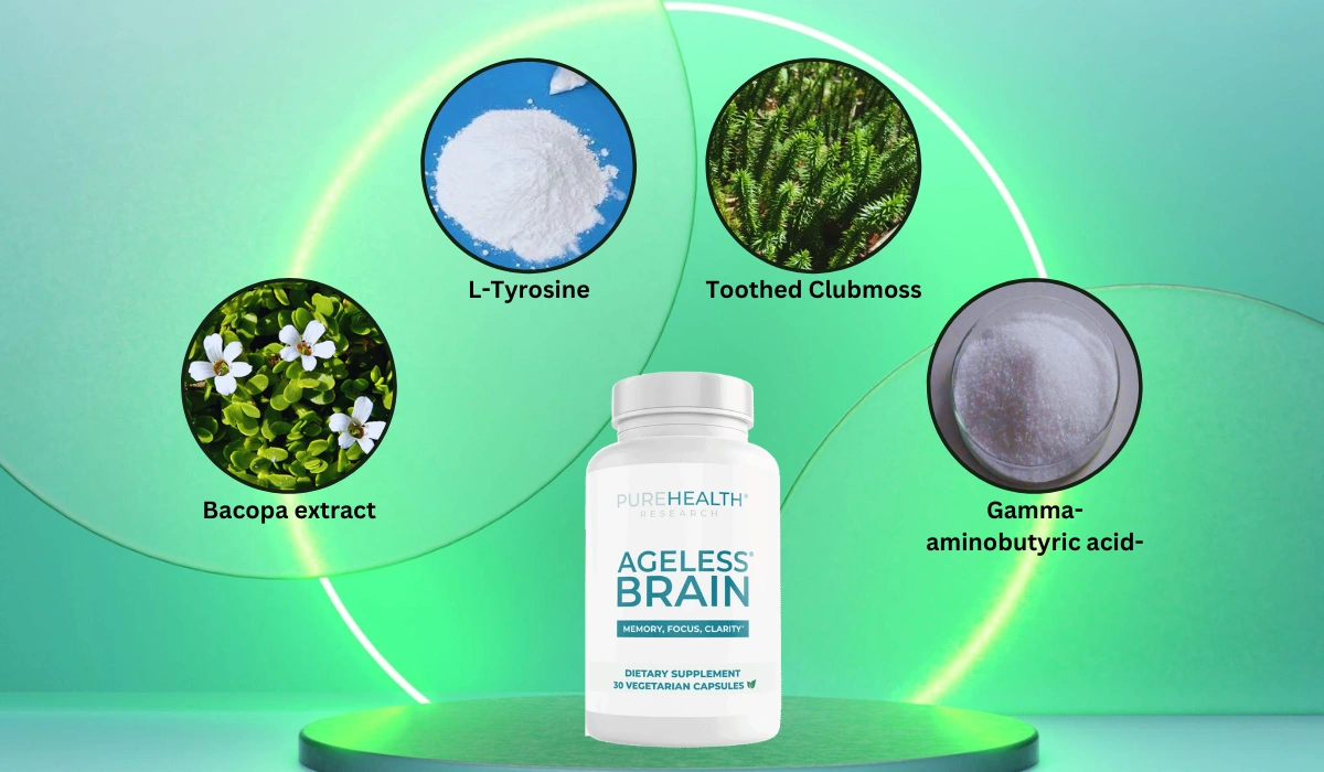 Ageless Brain Ingredients