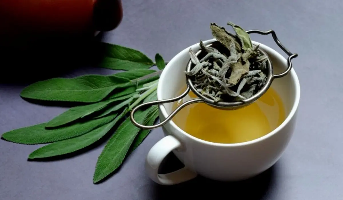 Benefits Of Tea For Brain Health