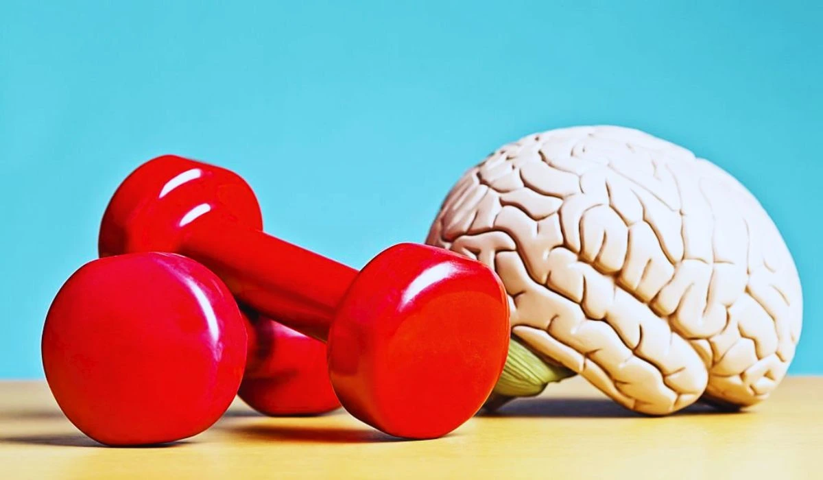 Best Activities For Brain Health