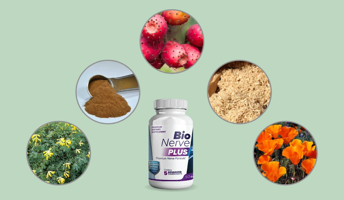 Bio Nerve Plus Ingredients