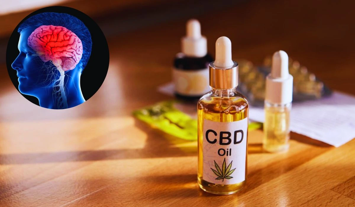 Effects Of Cannabinoids On The Brain