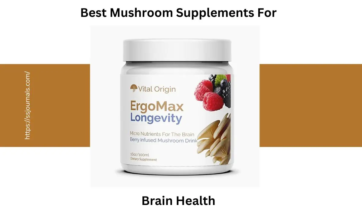 Ergomax-is-asupplement-that-improve-the-functioning-of-your-brain
