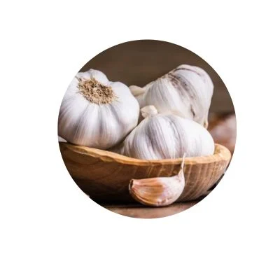 Garlic VitaHear Plus Ingredient