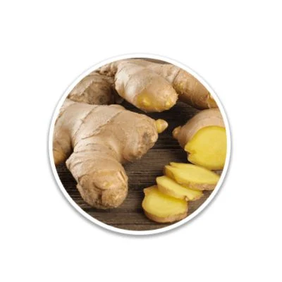 Ginger Rhizome Alpilean Ingredient