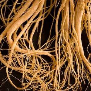 Koreansk röd ginseng