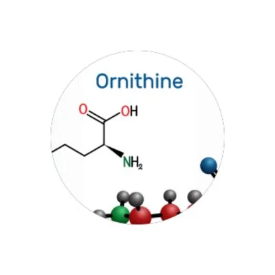 L-Ornithine HCL