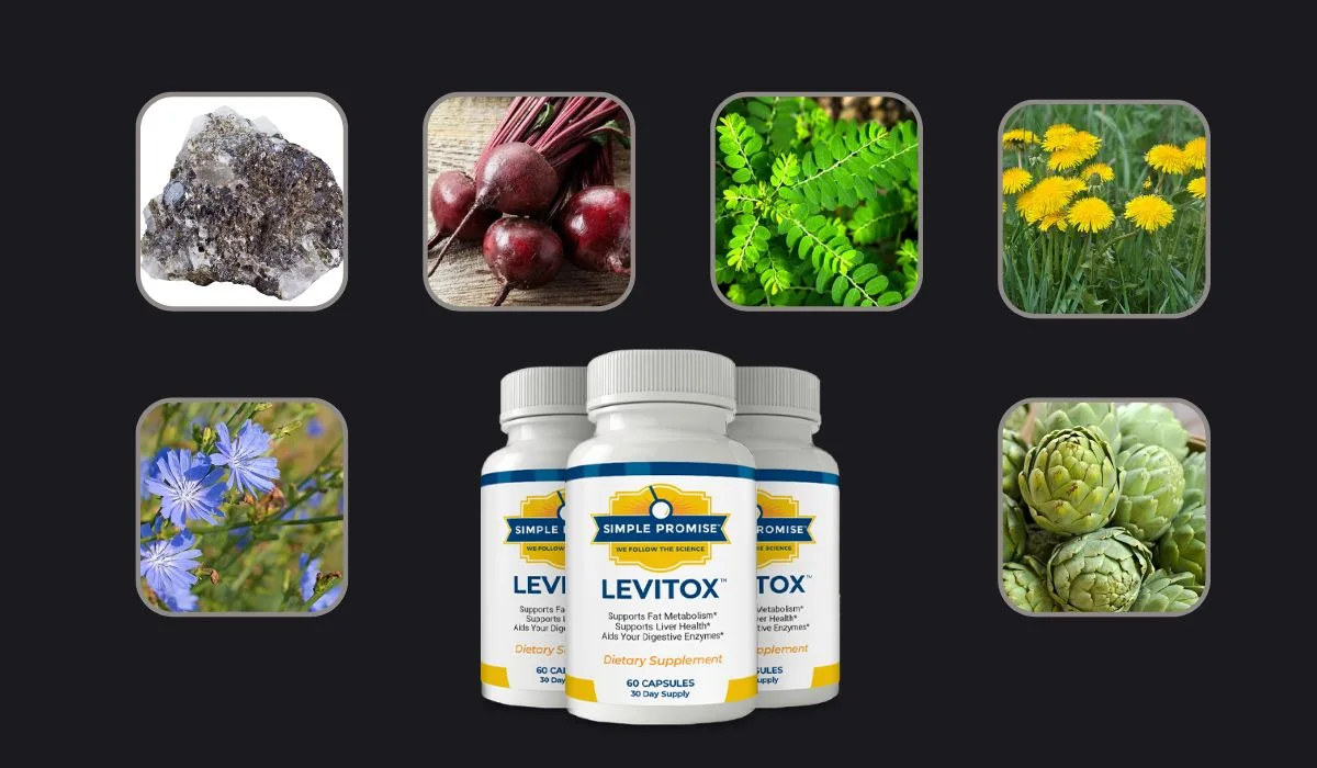 Levitox Ingredients