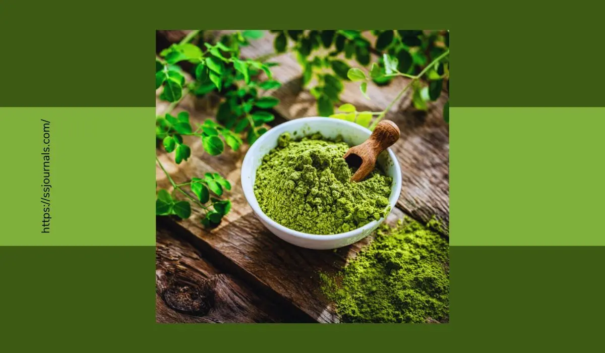 Moringa Benefits For Men