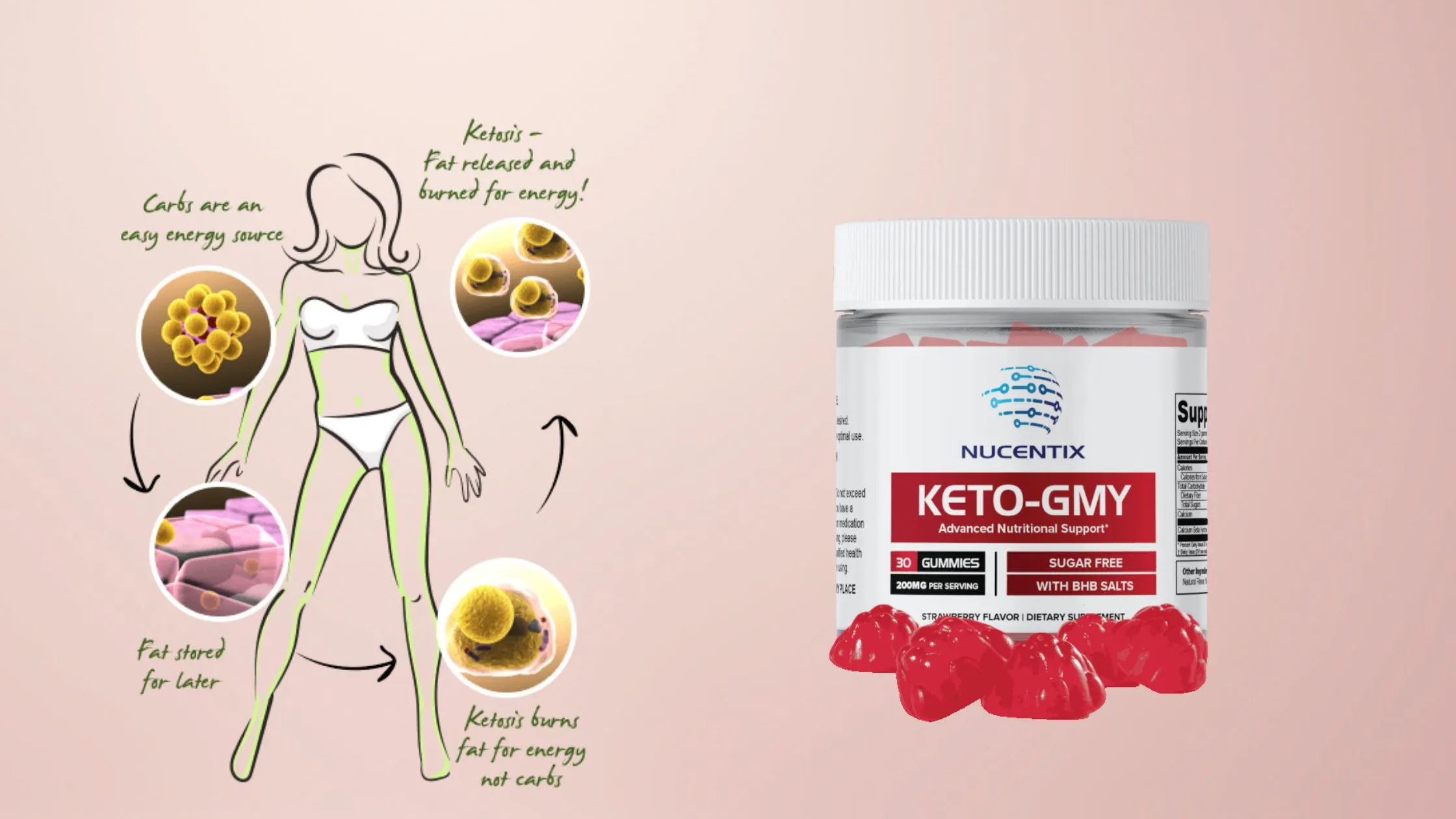 Nucentix Keto GMY Gummies Working Process