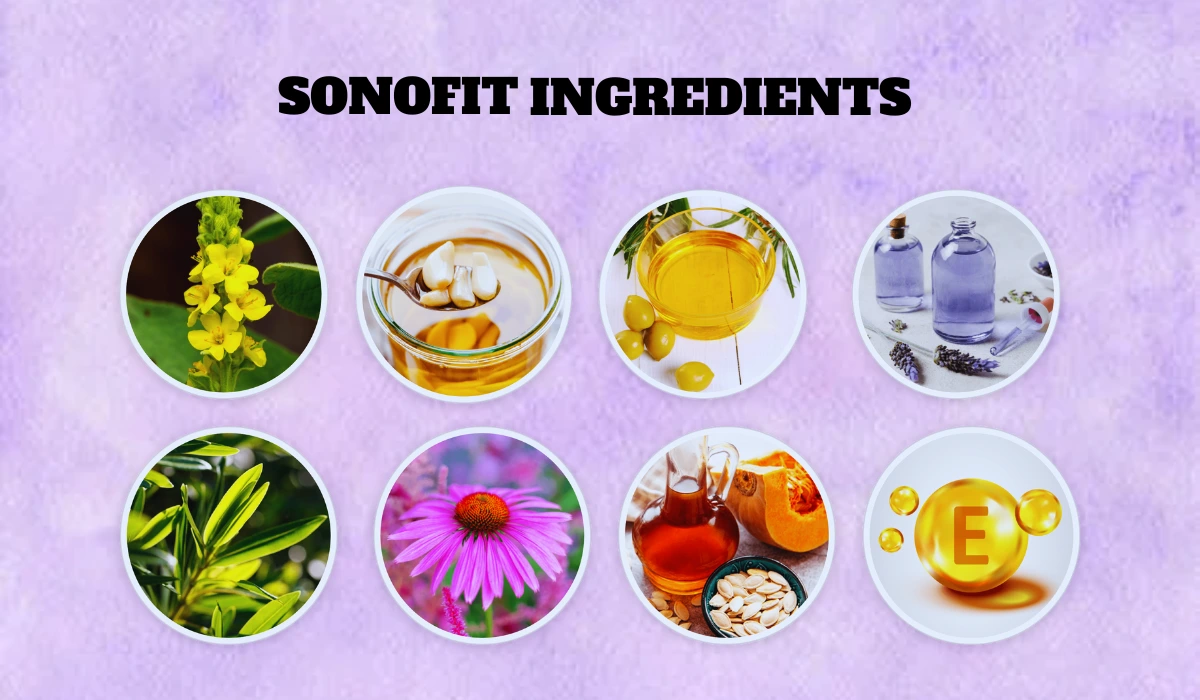 SonoFit Ingredients