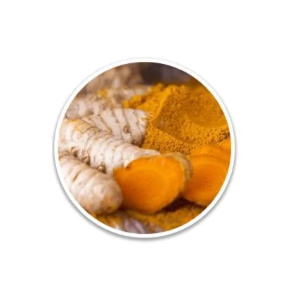 Turmeric Rhizome  Alpilean Ingredient