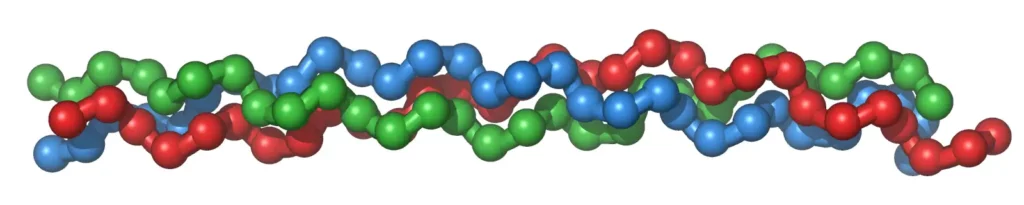 Collavant n2® Type 2 Collagen