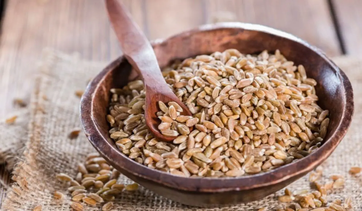 Gluten Content Of Farro