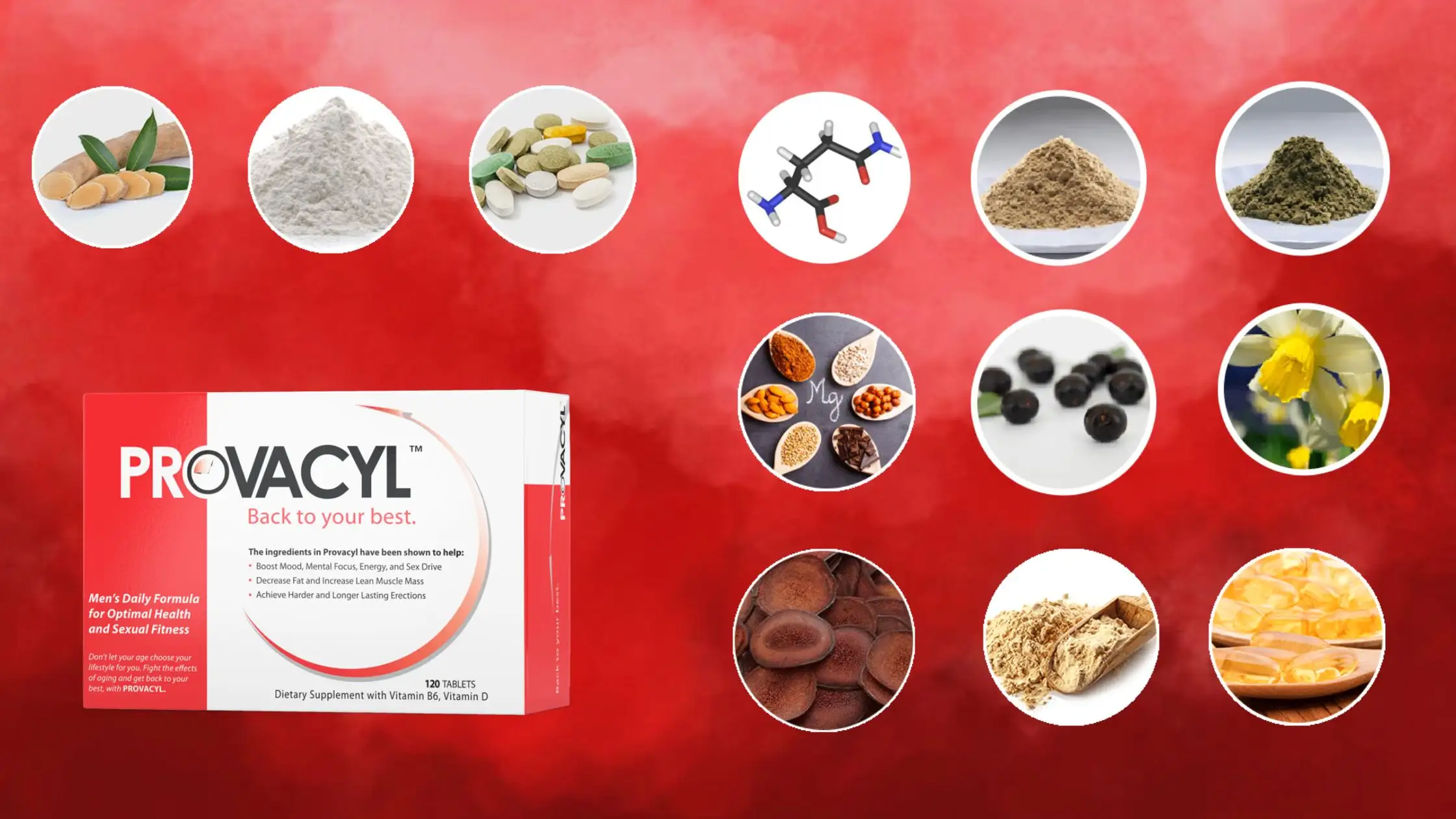 Provacyl Ingredients