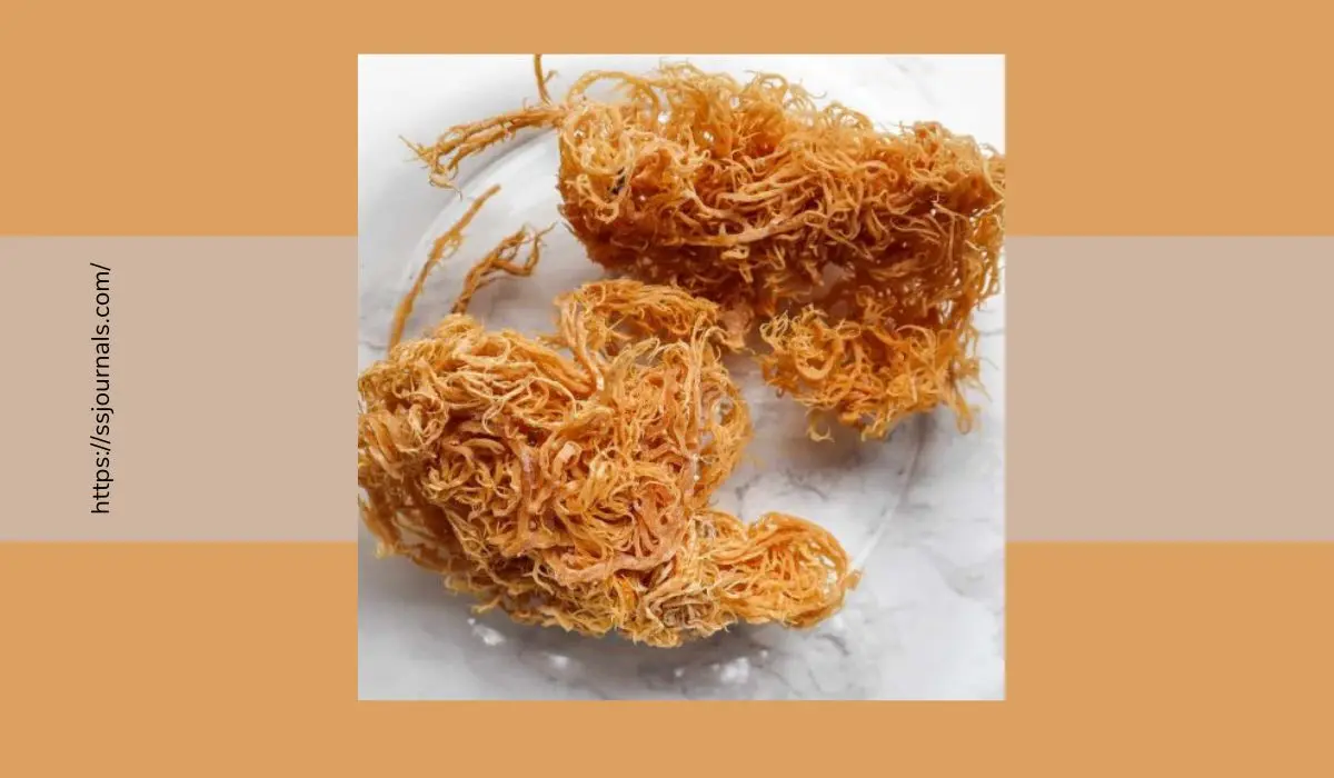 Sea Moss for Weight Loss