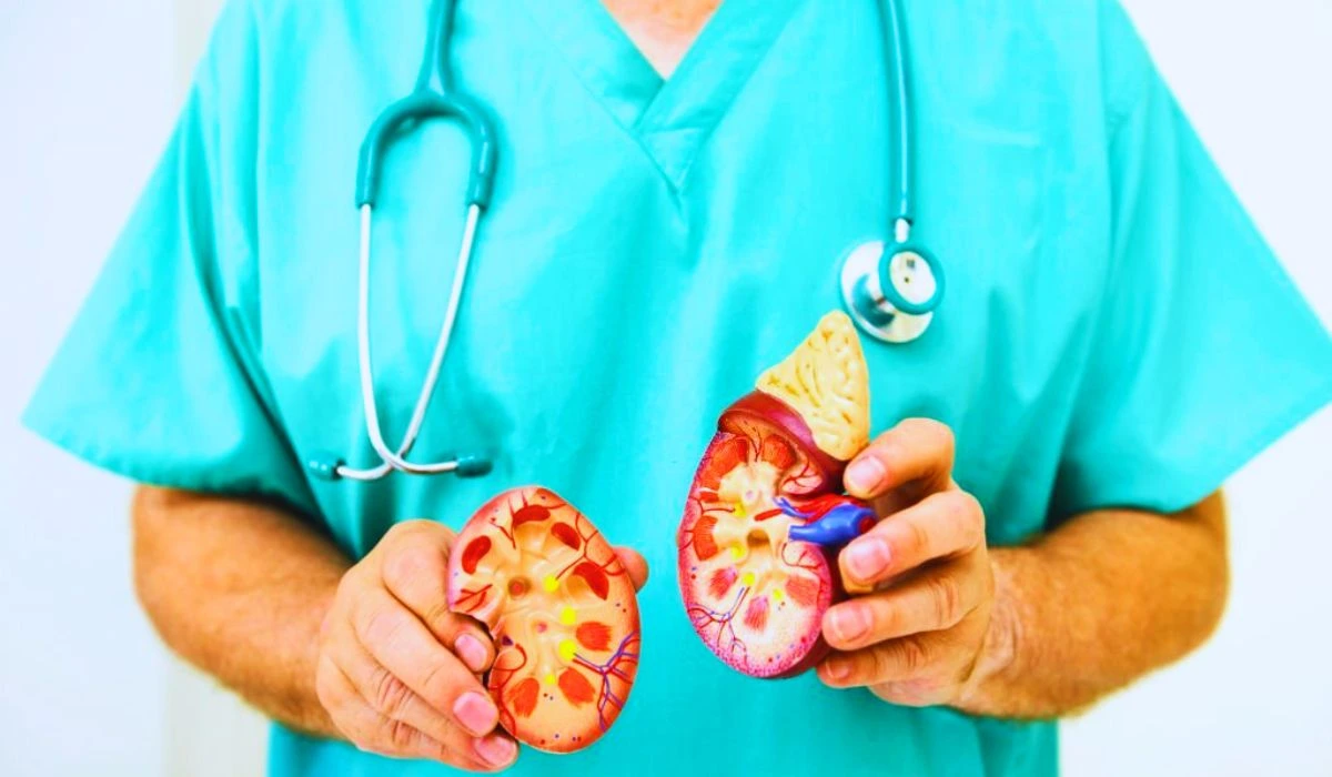 Signs And Symptoms Of Kidney Failure