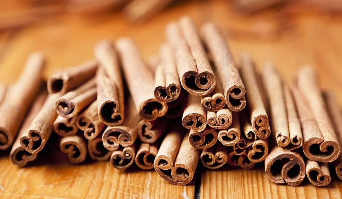 cinnamon for weight loss