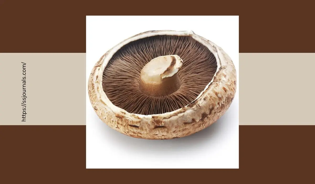 Adverse Effects Of Portobello Mushrooms